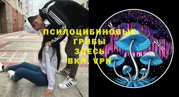 меф Белокуриха