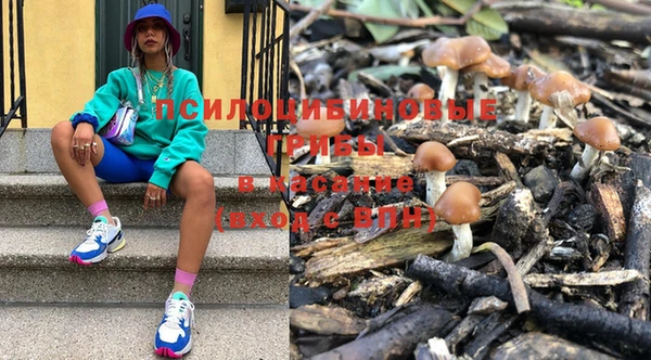меф Белокуриха
